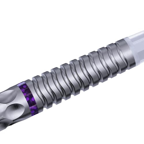 CUESOUL Chinese Zodiac Series 18g/19g/20g Soft Tip 90% Tungsten Dart Set with Integrated ROST T19 Flight