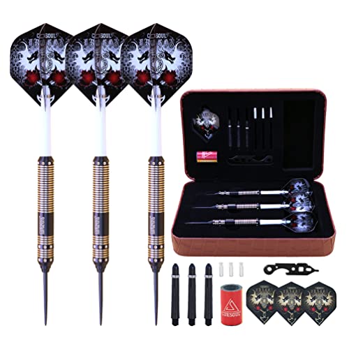 CUESOUL Dragon Series 21/23/25 Grams Steel Tip Darts