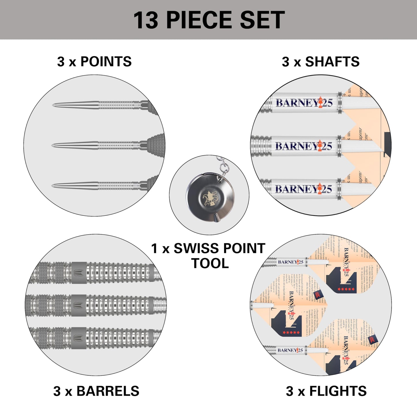 TARGET Darts Raymond van Barneveld RVB 25 Year Edition 95% Tungsten Swiss Point Steel Tip Darts Set